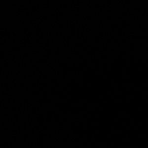 Meet your Posher, Macie